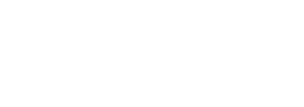 Brotherhood IT Solutions